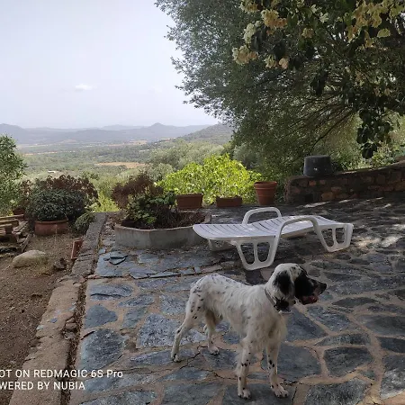 Vakantiehuis A Casa Di Sognu