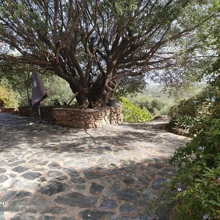 Vakantiehuis A Casa Di Sognu