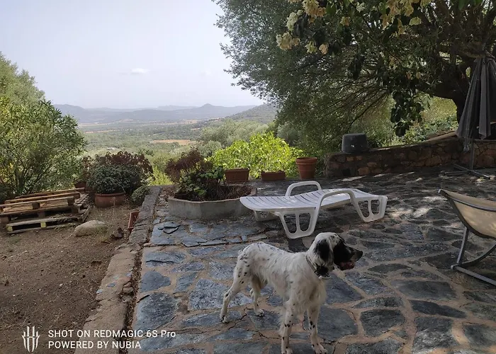 Σπίτι διακοπών A Casa Di Sognu