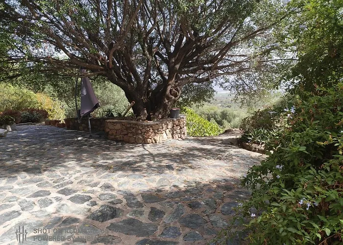 Σπίτι διακοπών A Casa Di Sognu